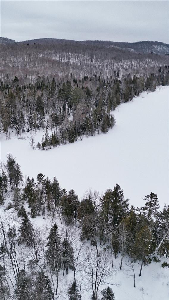 Parc régional de Kilkenny - 8