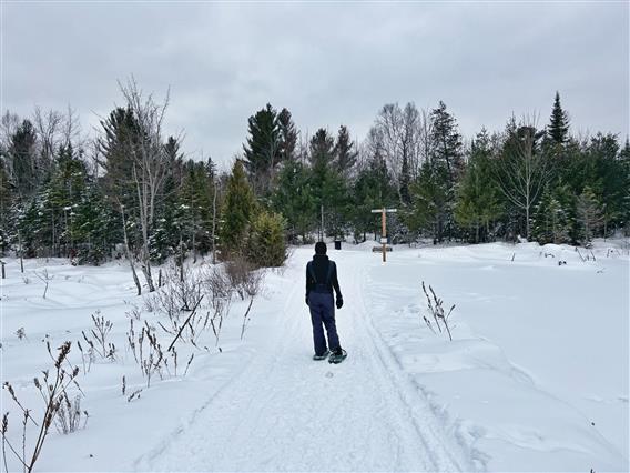 Parc régional de Kilkenny - 2