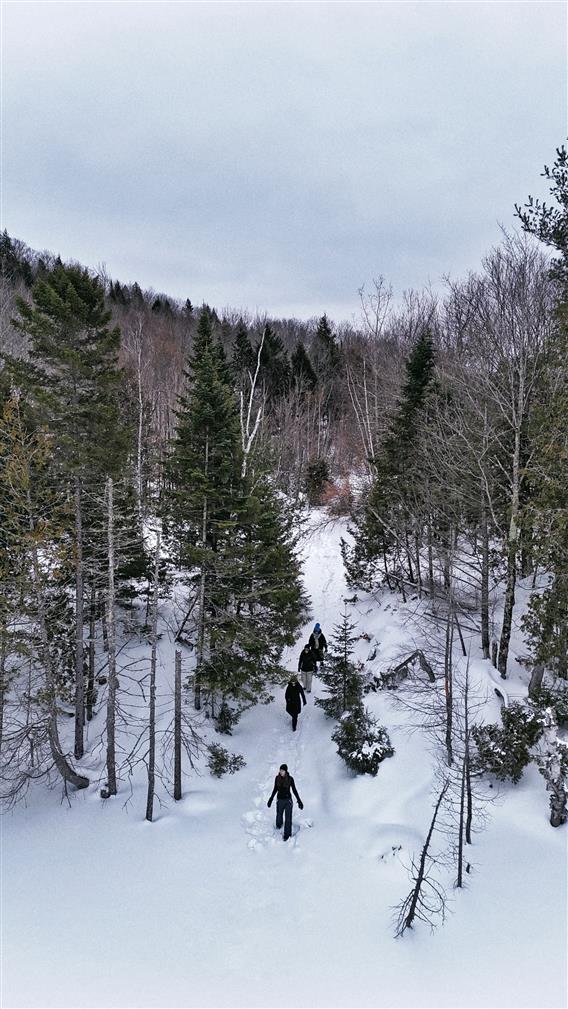 Parc régional de Kilkenny - 9