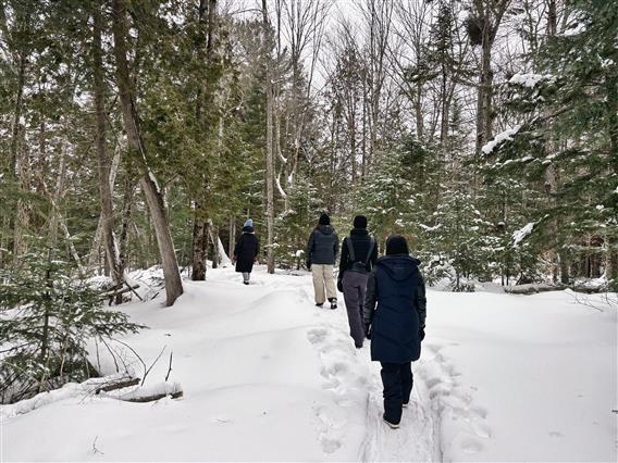 Parc régional de Kilkenny - 3