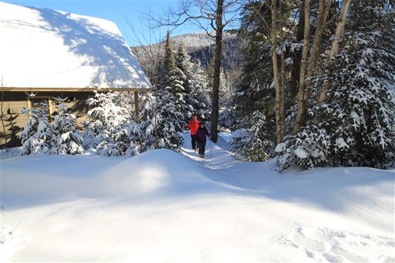 Parc Mont-Tremblant_Pimbina_hebergement_hiver_credit inconnu54