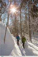 Raquette - Parc national du Mont-Tremblant -2