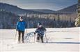 Cross-country skiing and Snowshoeing - Parc national du Mont-Tremblant (Saint-Donat sector only)