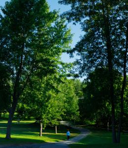 Parc Saint-Jean-Bosco