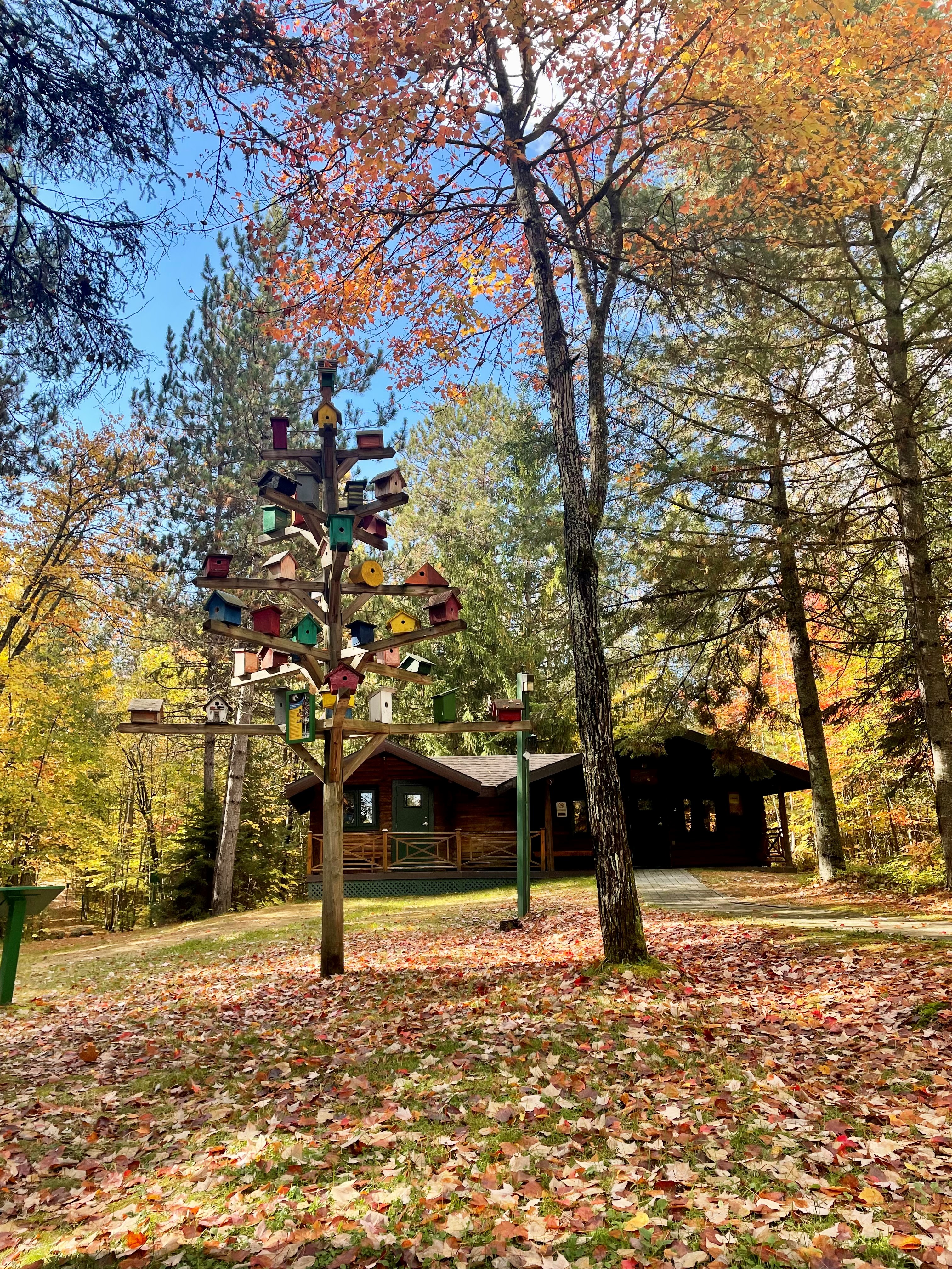 Parc des Chutes-de-la-petite-rivière-bostonnais