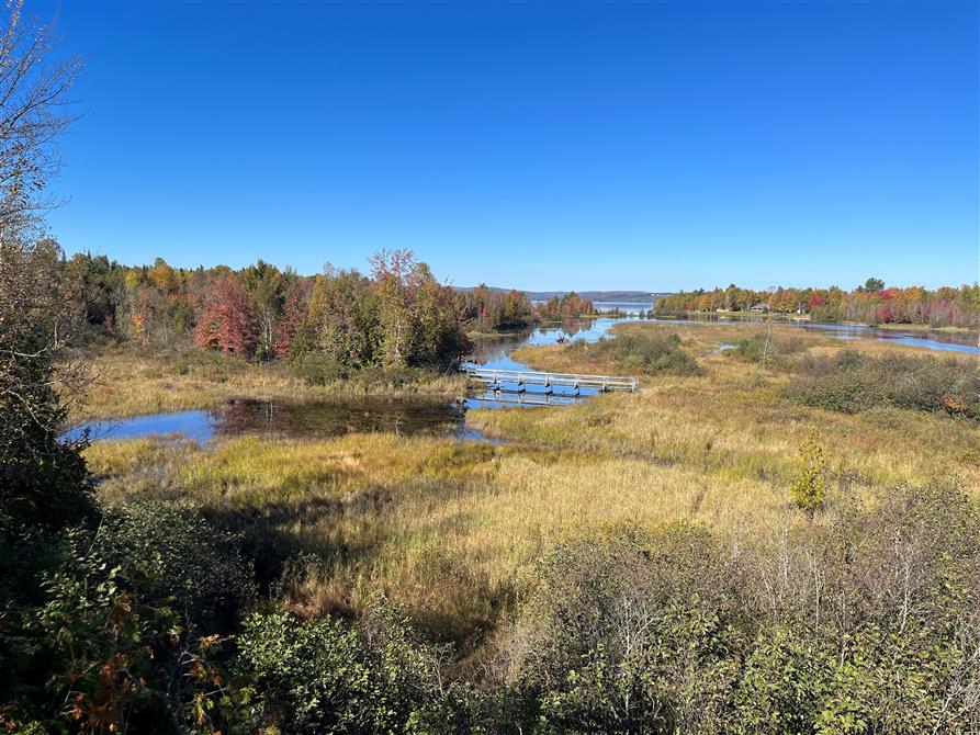 Parc du lac Aylmer_CantonsdelEst_Marais (&copy;Parc du Lac Aylmer)