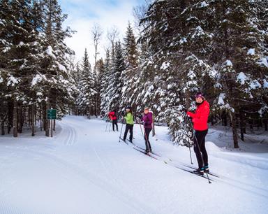 SKi de fond au parc national de la mauricie
