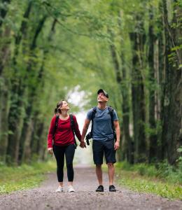 Parc régional de la Forêt-Drummond