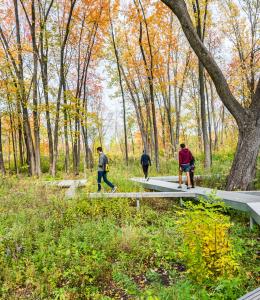 Parc-nature du Bois-de-Liesse