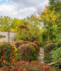 Parc-nature de l'Ile-de-la-Visitation