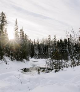 Parc de la Rivière-du-Moulin
