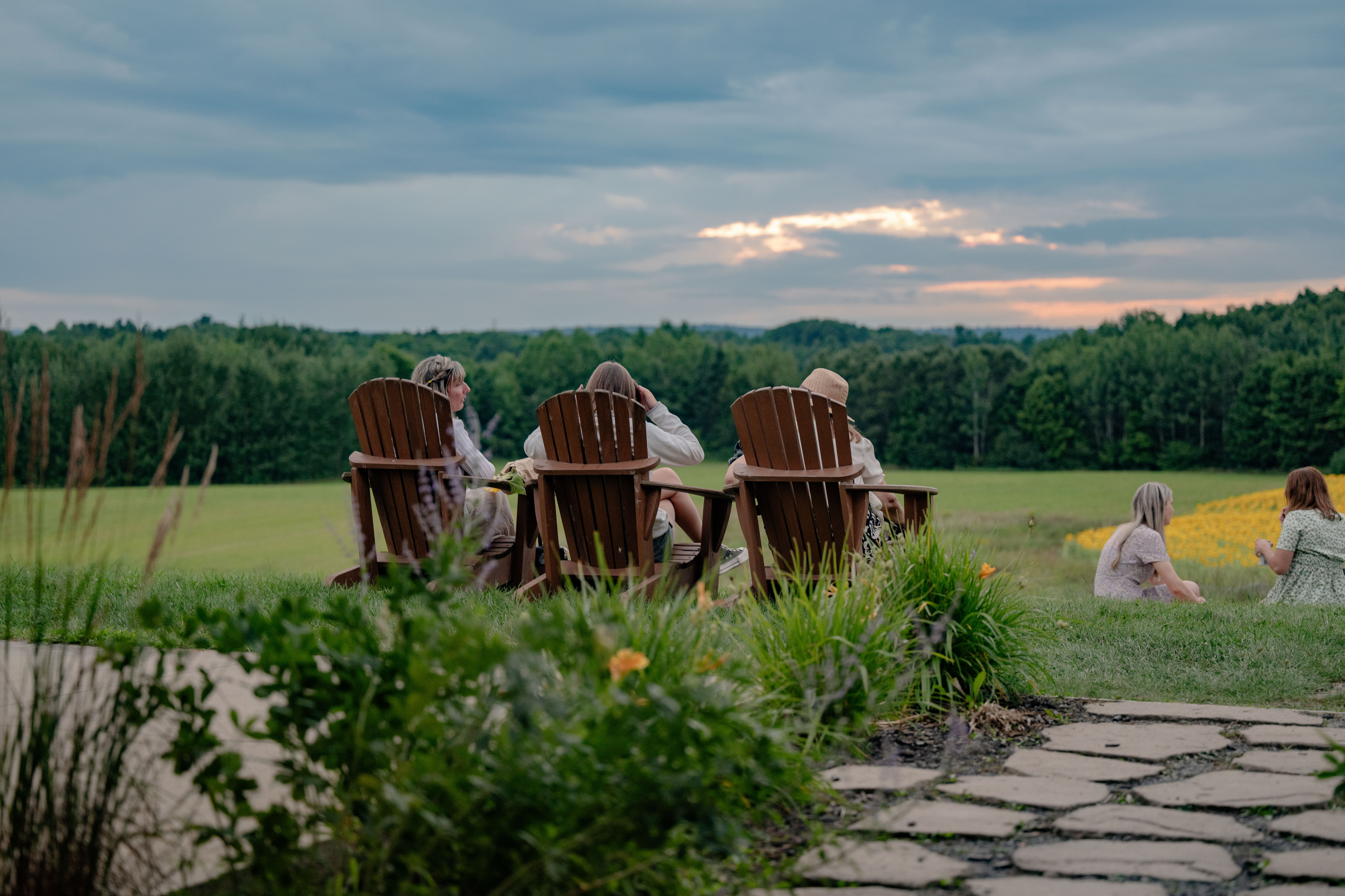 Moment de détente chez Passion Lavande