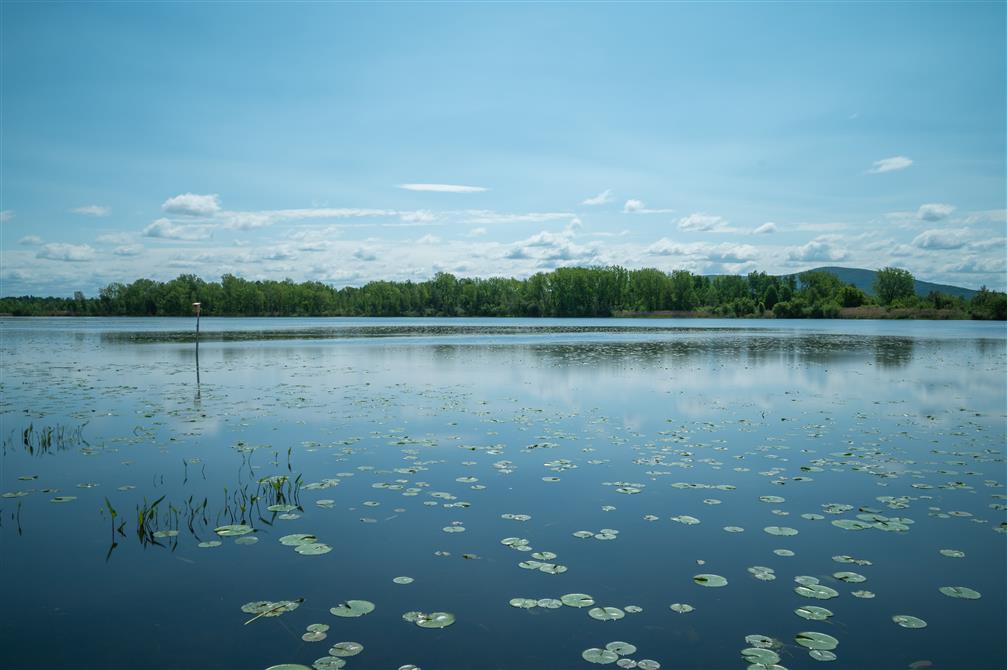 Lac Boivin (&copy;@Sylvie BOUSQUET 2023)