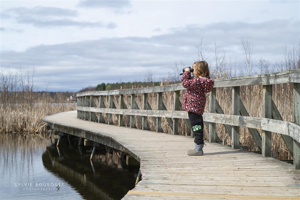 Observation ornithologique (&copy;Sylvie Bousquet2024)