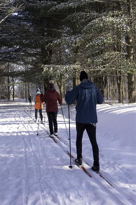 Ski de fond (&copy;Sylvie Bousquet)