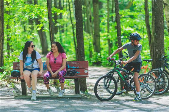 Véloroute les Moulins - 1