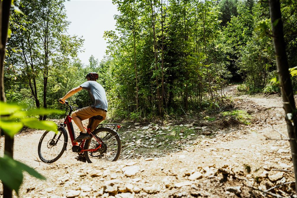 Piste vélo de montagne_près du sentier du Ravage@MB Photographie (&copy;@MB Photographie)