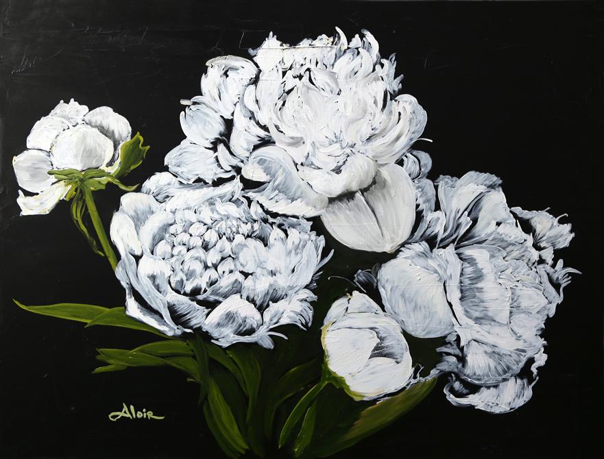 Pivoines dans la nuit (&copy;M.Aloir)