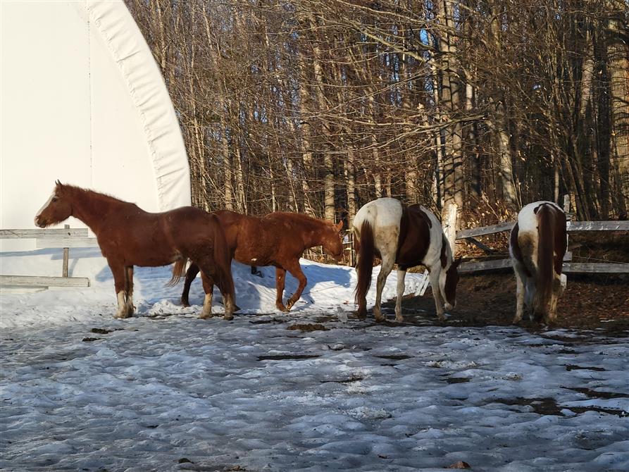 Printemps (&copy;Patrick Dezothez)