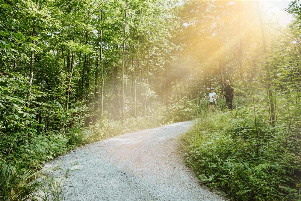 Randonnée sentier des Crêtes_Forêt habitée@MB Photographie.jpg (&copy;Dudswell; MB Photographie - Mélodie Béland)