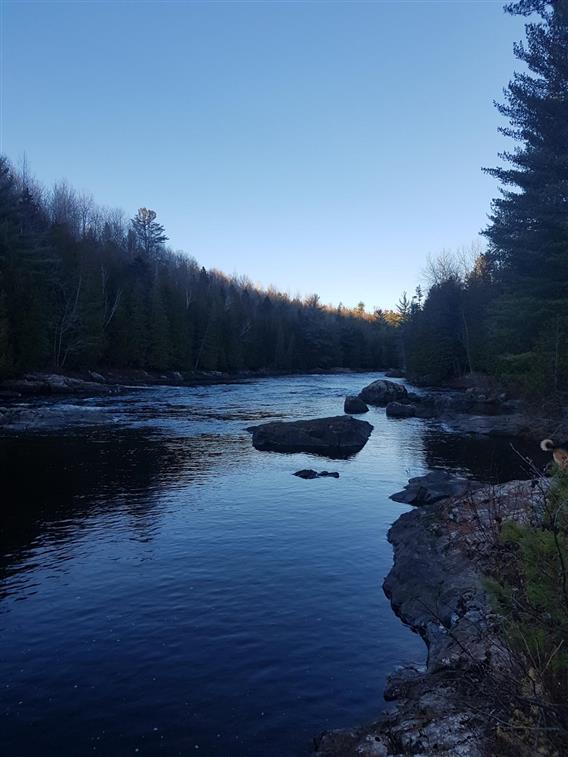 Forêt Ô Cascades Rivière Ouareau