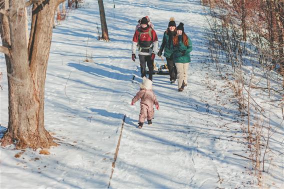 SCIRBI_2025_traineau_famille_HR_credit photo_Simon Laroche26