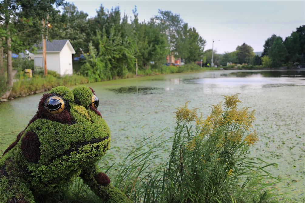 SLarose_mosaicultures_Howard (19) (&copy;www.sebastienlarose.com)