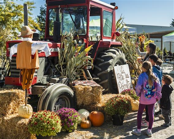 SODAM_Fe╠étesDesRe╠ücoltes-23