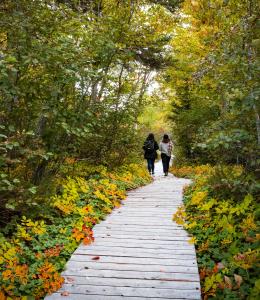 Parc Nature de Pointe-aux-Outardes