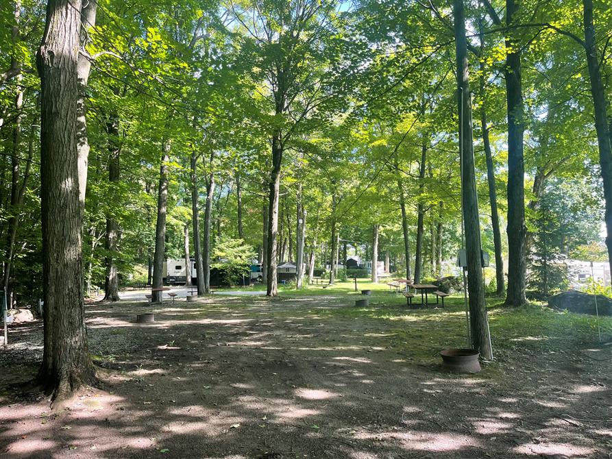 Secteur Tentes (&copy;Fondation Roger Talbot)