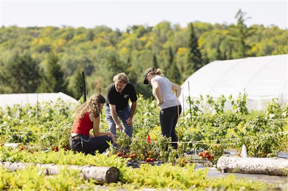 Les Jardins de l'écoumène -2