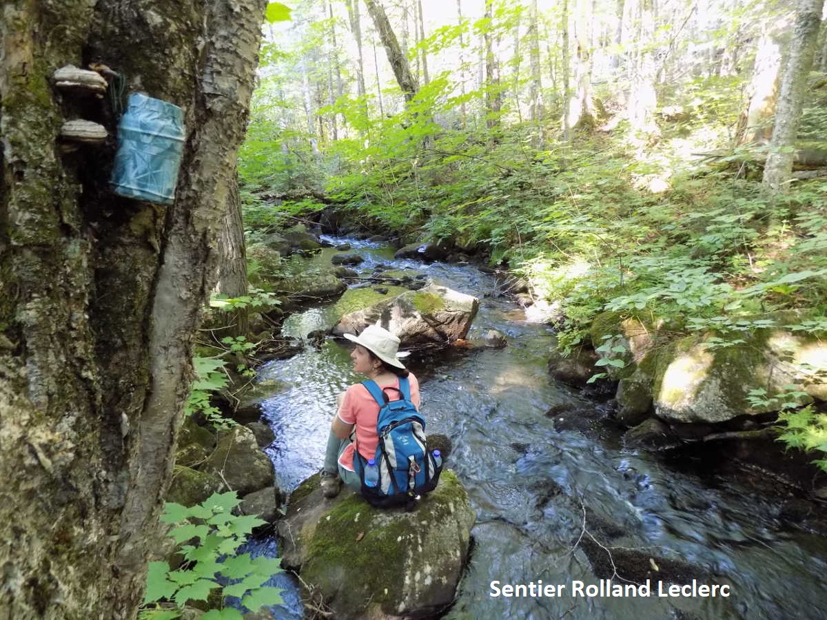 Sentier National de la Mauricie, section Rolland Leclerc