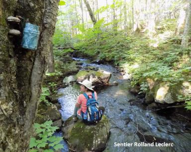 Sentier National de la Mauricie, section Rolland Leclerc