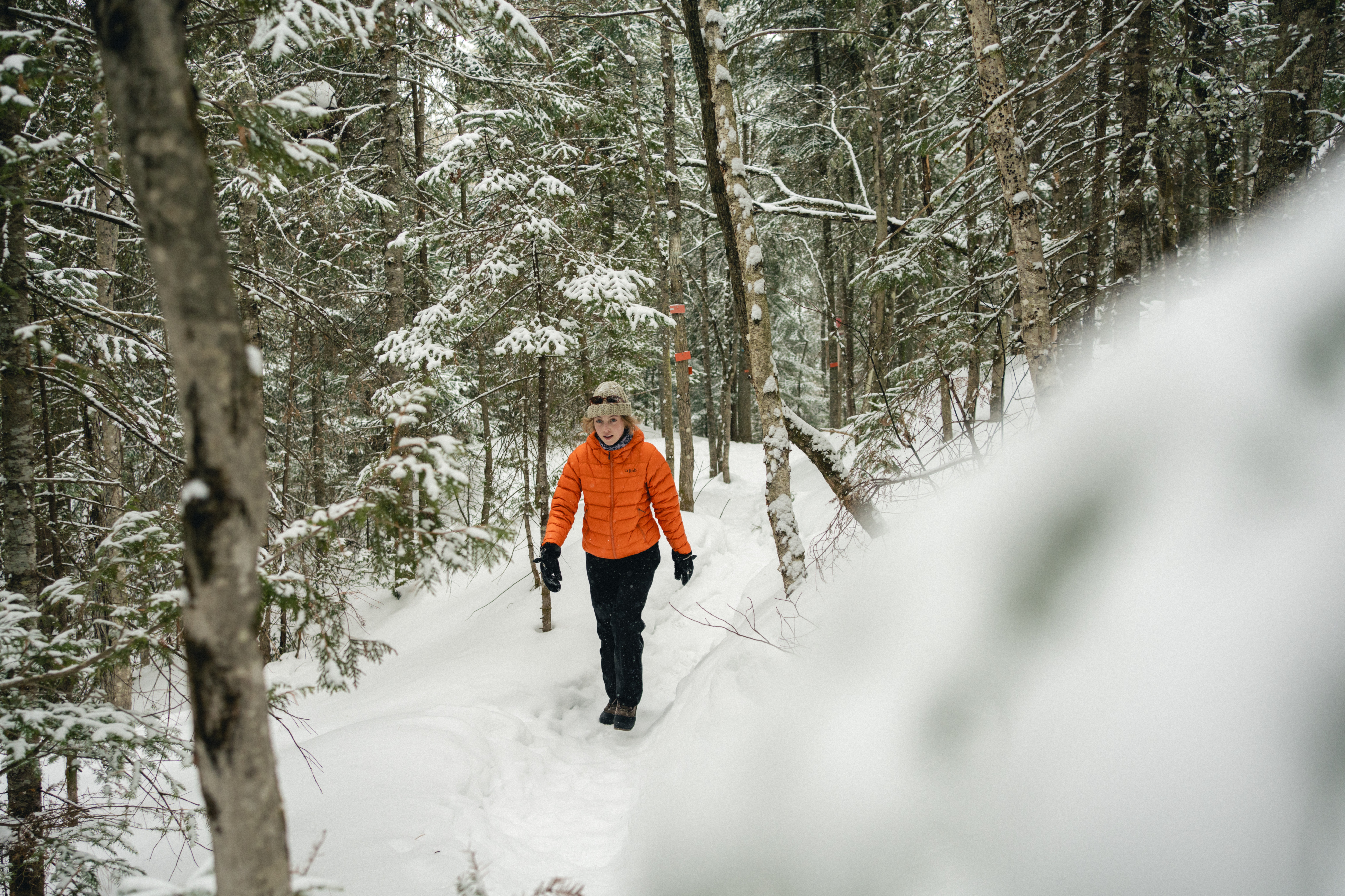 Sentier national Jacques Buteux