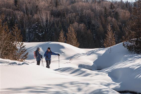 Sentier national_Swaggin_Raquette_credit Fabien Proulx Tremblay30