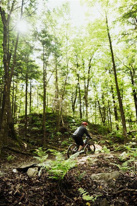 Sentier Boutefeu (&copy;Dudswell Zone Nature; MB Photographie - Mélodie Béland)