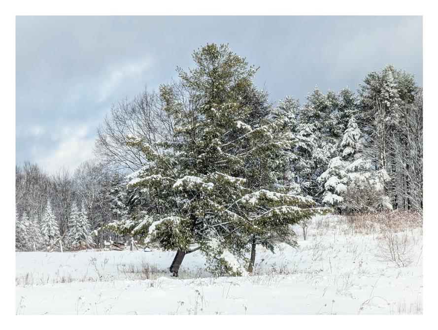 Sentiers (&copy;Patrick Dezothez)