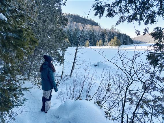 Les sentiers du Lac en coeur - 8