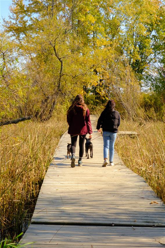 Sentiers-SCIRBI-automne_2024-credit-SandrineCoutu-17