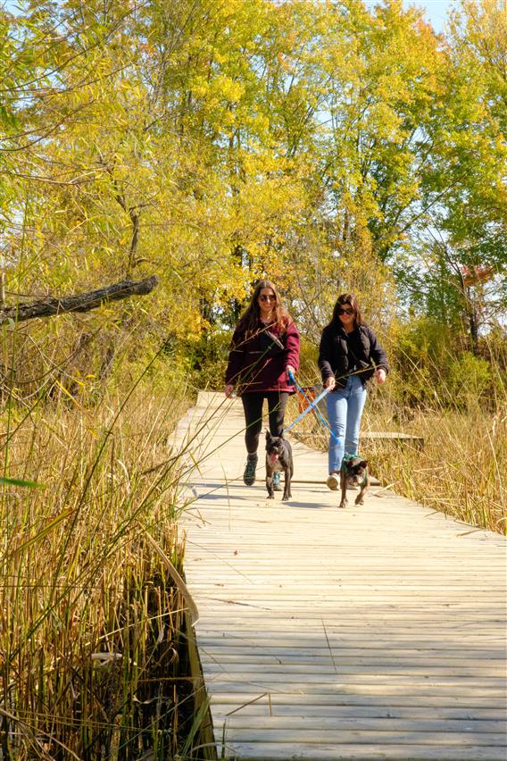 Sentiers-SCIRBI-automne_2024-credit-SandrineCoutu-20