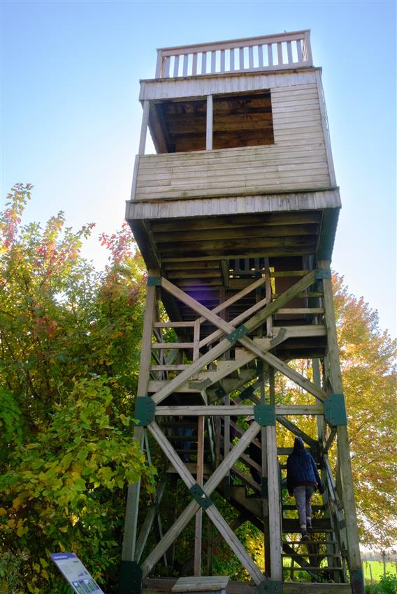 Sentiers-SCIRBI-automne_2024-credit-SandrineCoutu-3