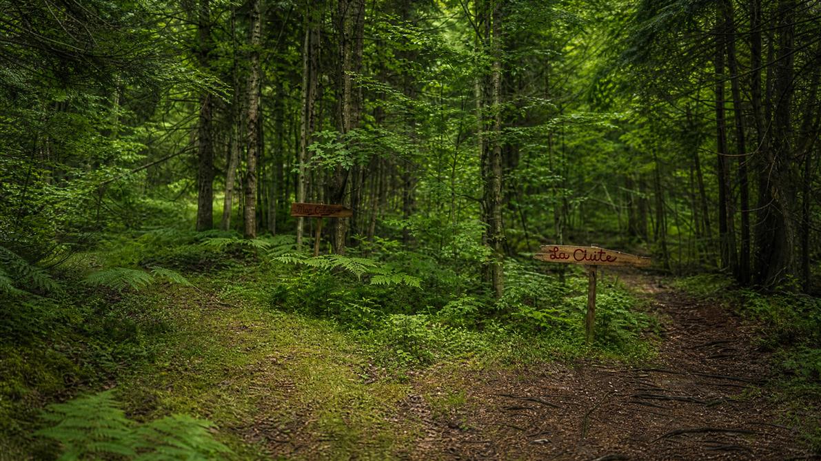 Sentiers pédestres (&copy;Aux Pignons Rouges)