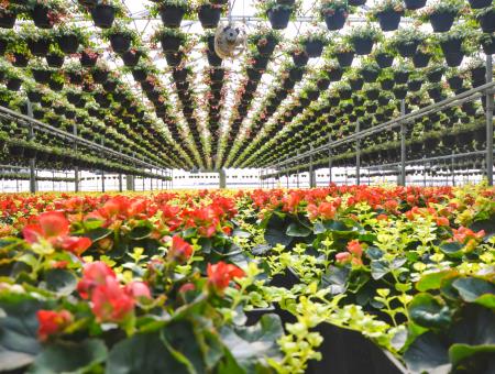 Les Serres Sylvain Cléroux