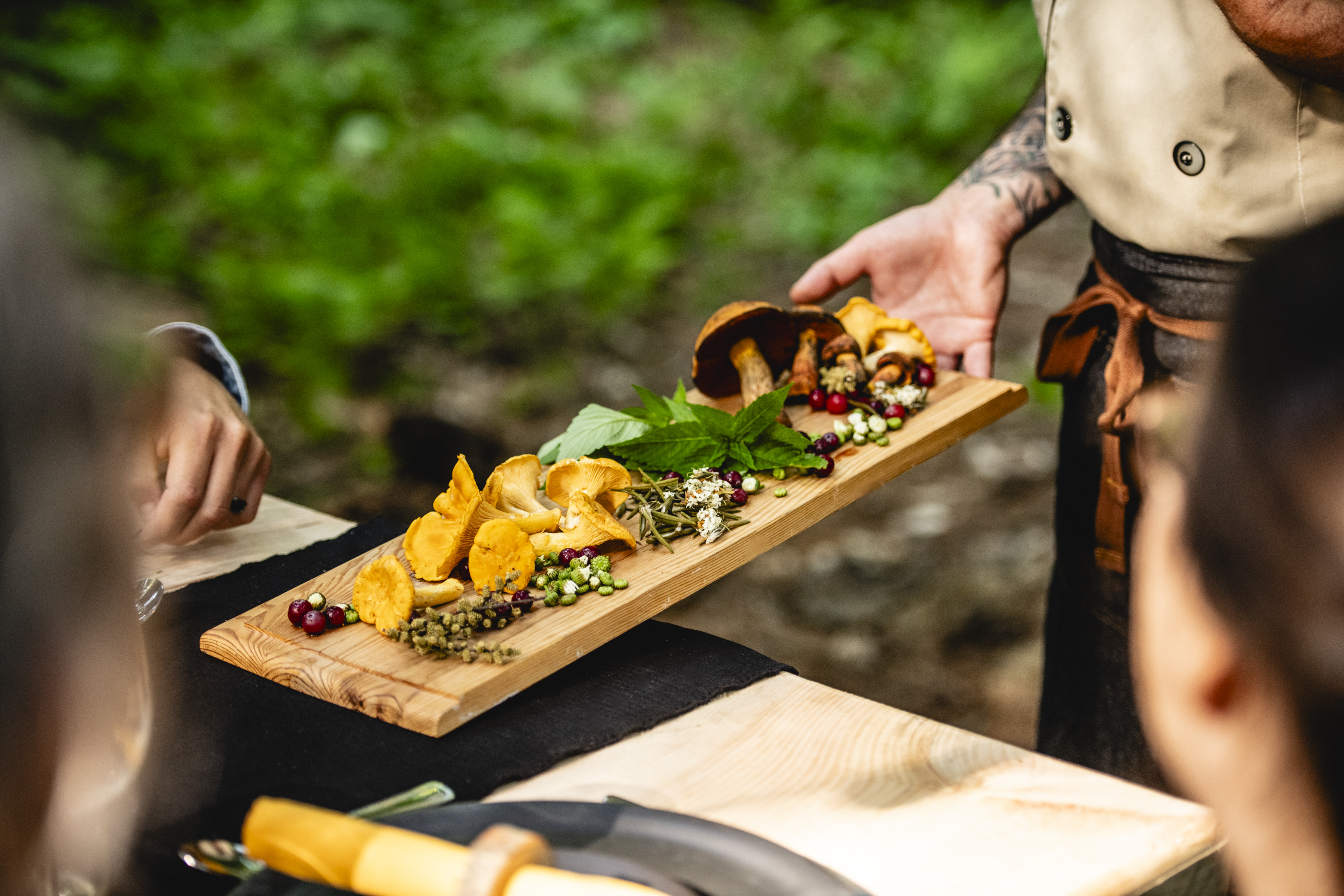 SiLVA - Tablées gourmandes en forêt 