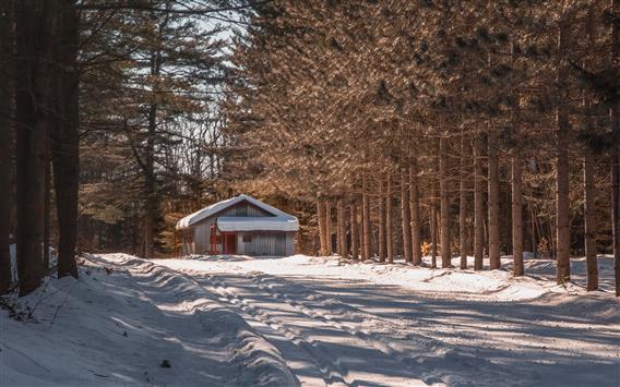 Ski de fond_Chez Ti-Jean_credit Fabien Proulx-Tremblay8