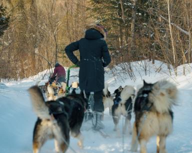 TM_JG Pothier_hiver_chiens de traineau_Galeox_2022-18