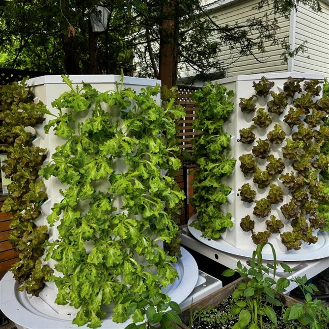 Tour Aréoponique (&copy;Maison Boire)