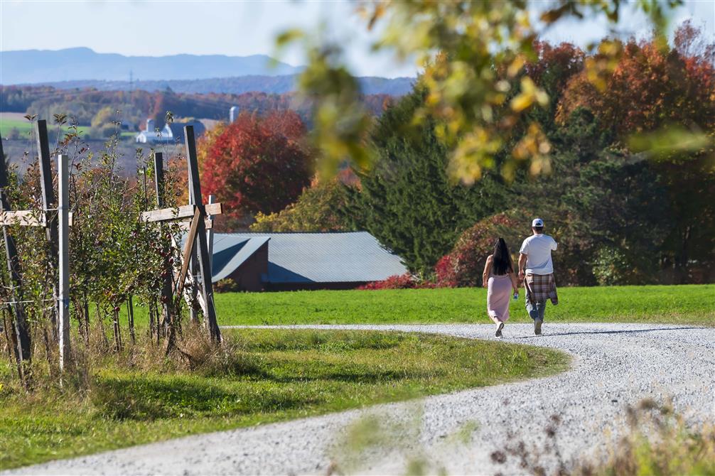 VG25_Comptonales_JSS8641_Jessica Garneau (&copy;Jessica_Garneau)