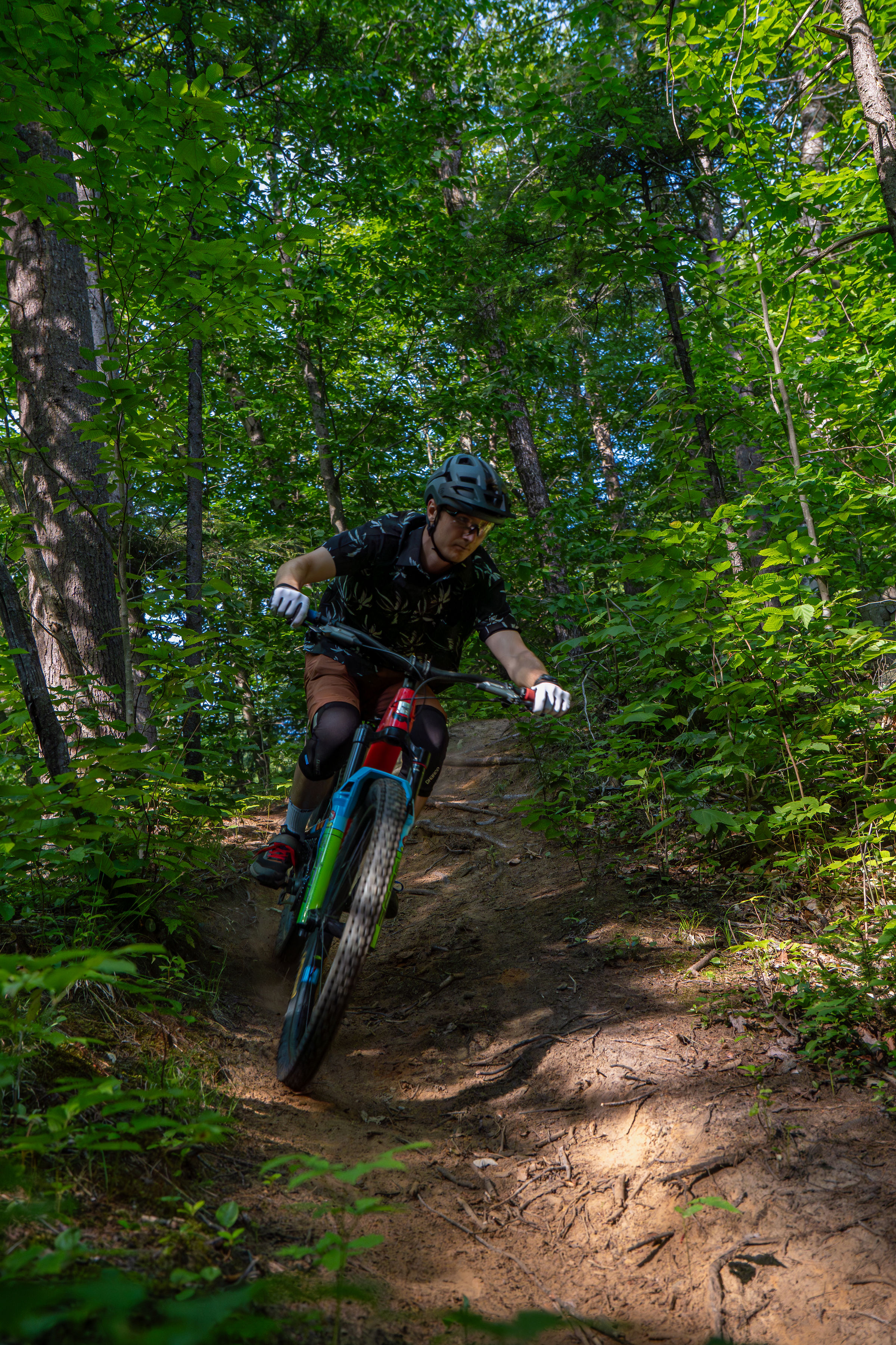 Vélo de montagne 