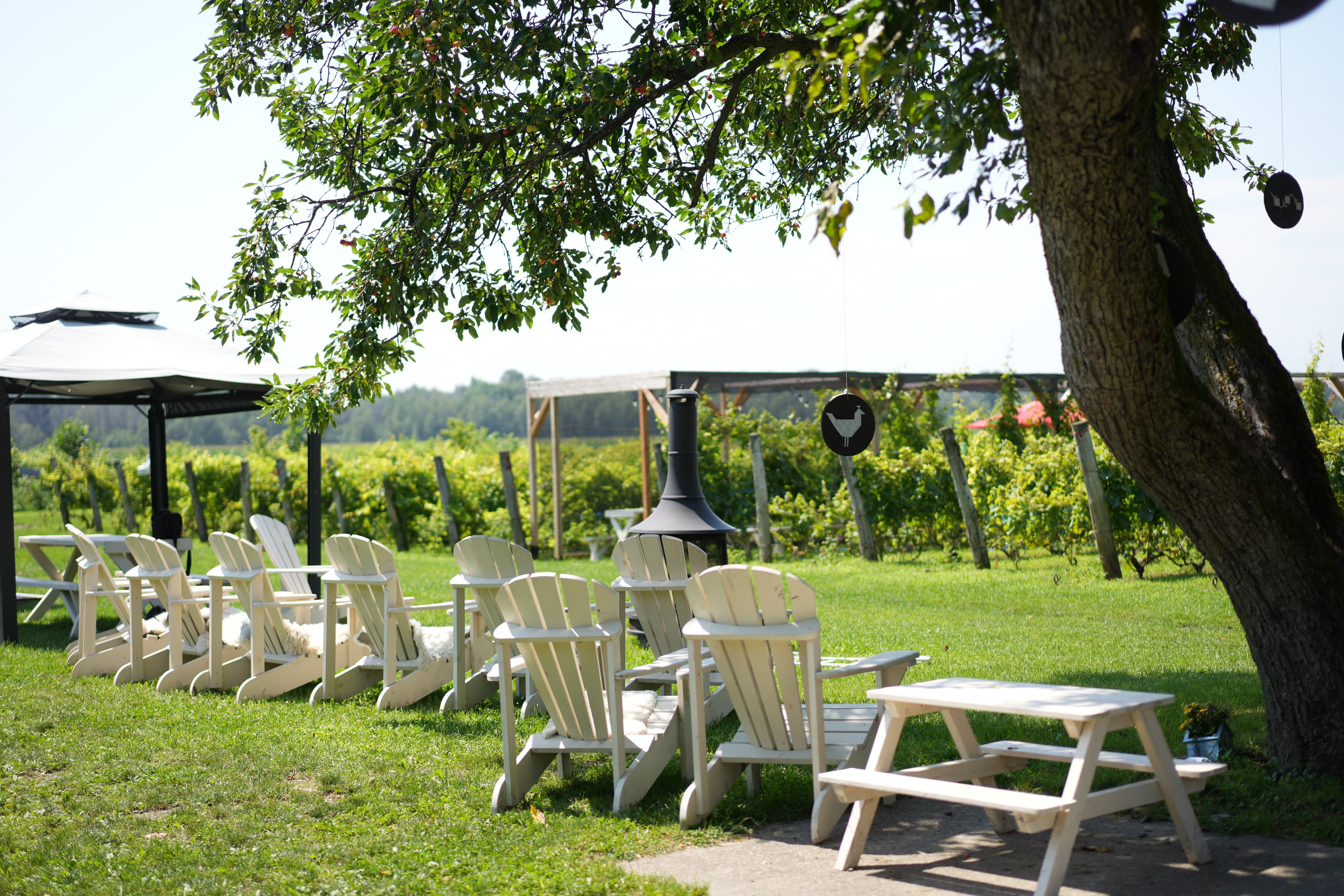 Vignoble